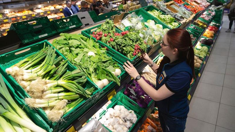 Az Aldinál bejelentették a legfrissebb béremelést, amely lehetőséget teremt az alkalmazottak számára, hogy jelentősen növeljék jövedelmüket. A dolgozók mostantól ennyi pénzt vihetnek haza, ami kedvező hatással lehet mindennapi életükre. A részletek a Vilá