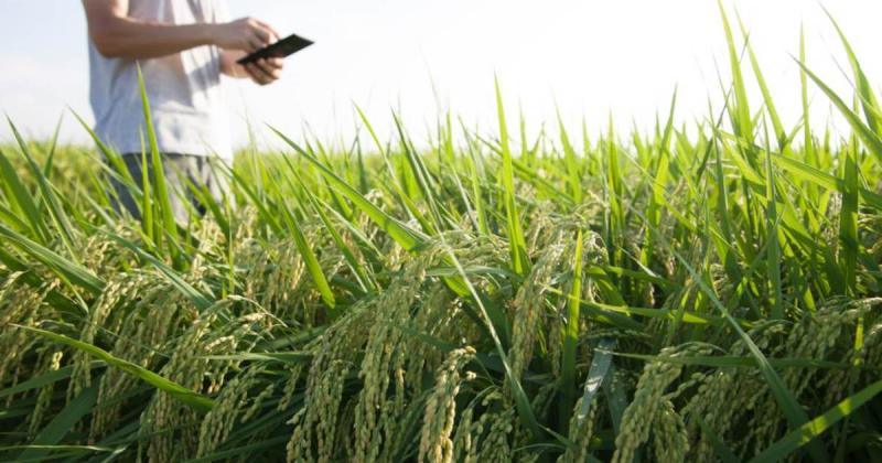 Az agrárium generációváltása alapvető fontosságú a jövő szempontjából. Az új gondolkodásmód és innovatív megoldások bevezetése elengedhetetlen ahhoz, hogy a mezőgazdaság fenntarthatóan fejlődjön és alkalmazkodjon a változó környezeti, gazdasági és társada