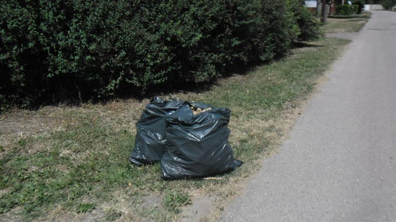 A MOHU válasza szerint a szemetes zsákok elszállítását a bokrok akadályozták meg.