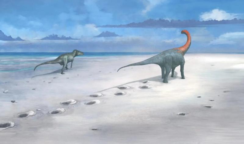 Dinoszauruszok léteztek Oxford megyében 166 millió évvel ezelőtt | National Geographic