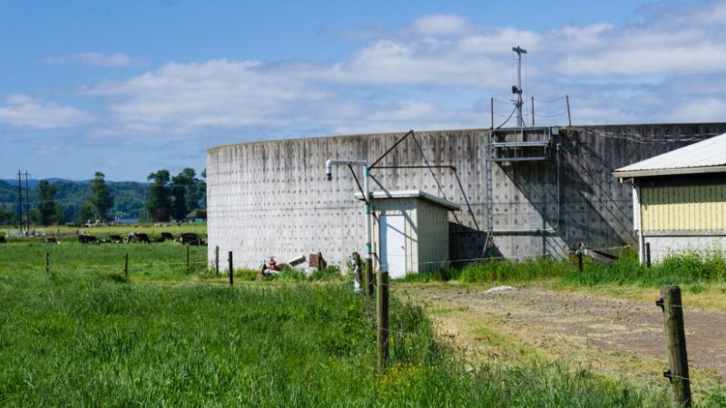 Fedezd fel a lenyűgöző jelentést: itt van, hogyan teljesítenek kiemelkedően a magyarok az Európai Unióban - Agro Napló.