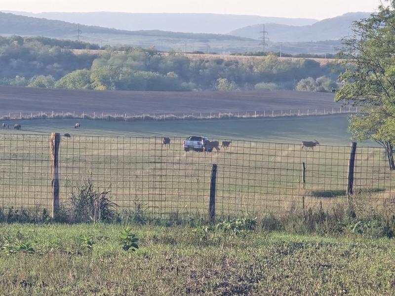 Mészáros Lőrincék azt tervezik, hogy elzárják a forgalom elől azt az utat, ahonnan csodálatos kilátás nyílik az antilopokra és zebrákra.